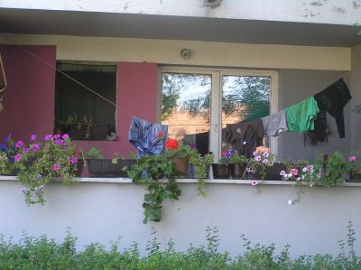 Hyreshus i Bela Crkva.